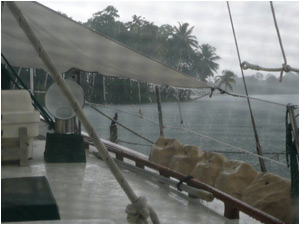 The rainy season - tropical depression AL16