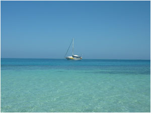 Dream Time anchored in Mana