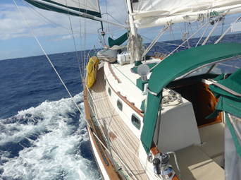Wing-to-wing in the Atlantic Ocean