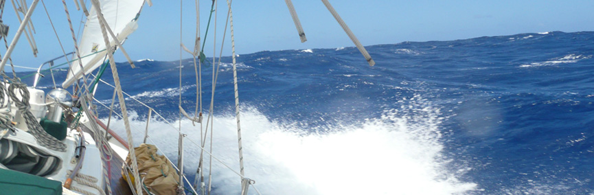 Rough waters ahead? Hoping for the best.