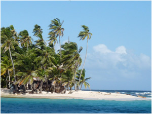 Dancing palms