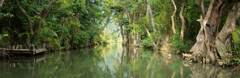 Indian River, Dominica