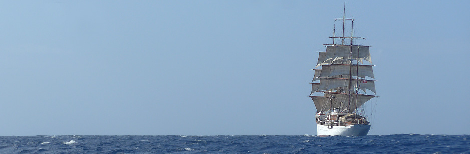 That's a lot of sail