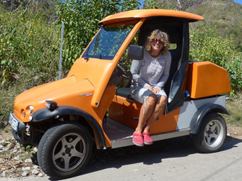 Exploring by golf cart