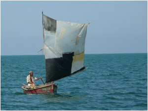 The old man and the sea