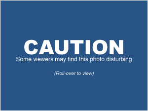 Caution, view at your own risk!