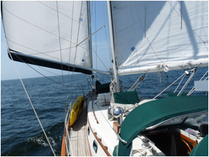 Dream Time 'swanning' along in the Pacific