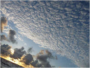 A new day