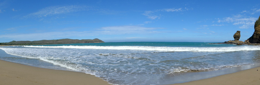Turtle Bay - west coast