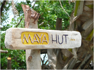 Welcome to "Maya Hut"