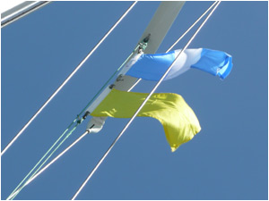 Guatemalan courtesy flag and "Q" flag flying on our approach to Livingston