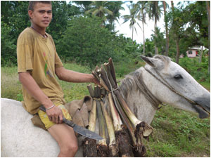 Fijian boy-racer