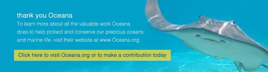 Please click here to make a contribution today