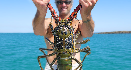 Reef tucker