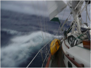 Heaving-to in the South Pacific
