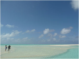 Honeymooners strolling on Honeymoon Island