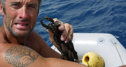 One of the 'stronger' links of our broken mooring