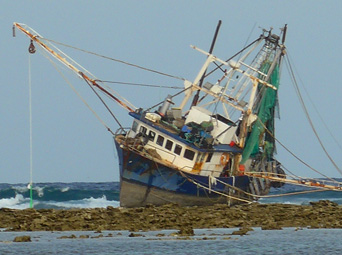 Fishing trawler, Mana, high and dry at low tide on Lady Musgrave's reef