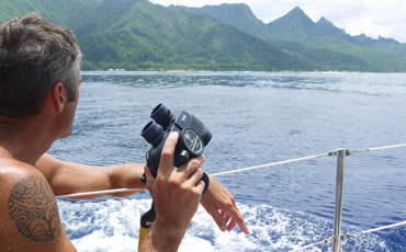 Using Steiner binoculars inside the reef of western Moorea